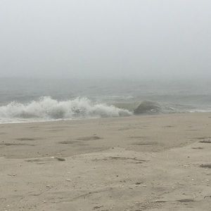 Meet your Posher, Margaret